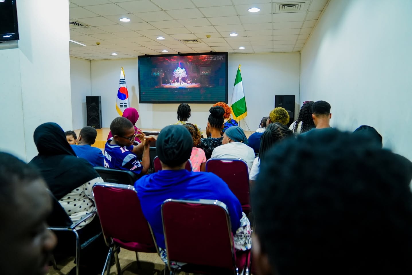 Seoul’s Masterpiece Lights Up Abuja